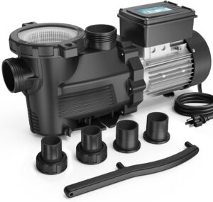 Why We Trust the 1.5HP Dual Speed Pool Pump for Our Pools